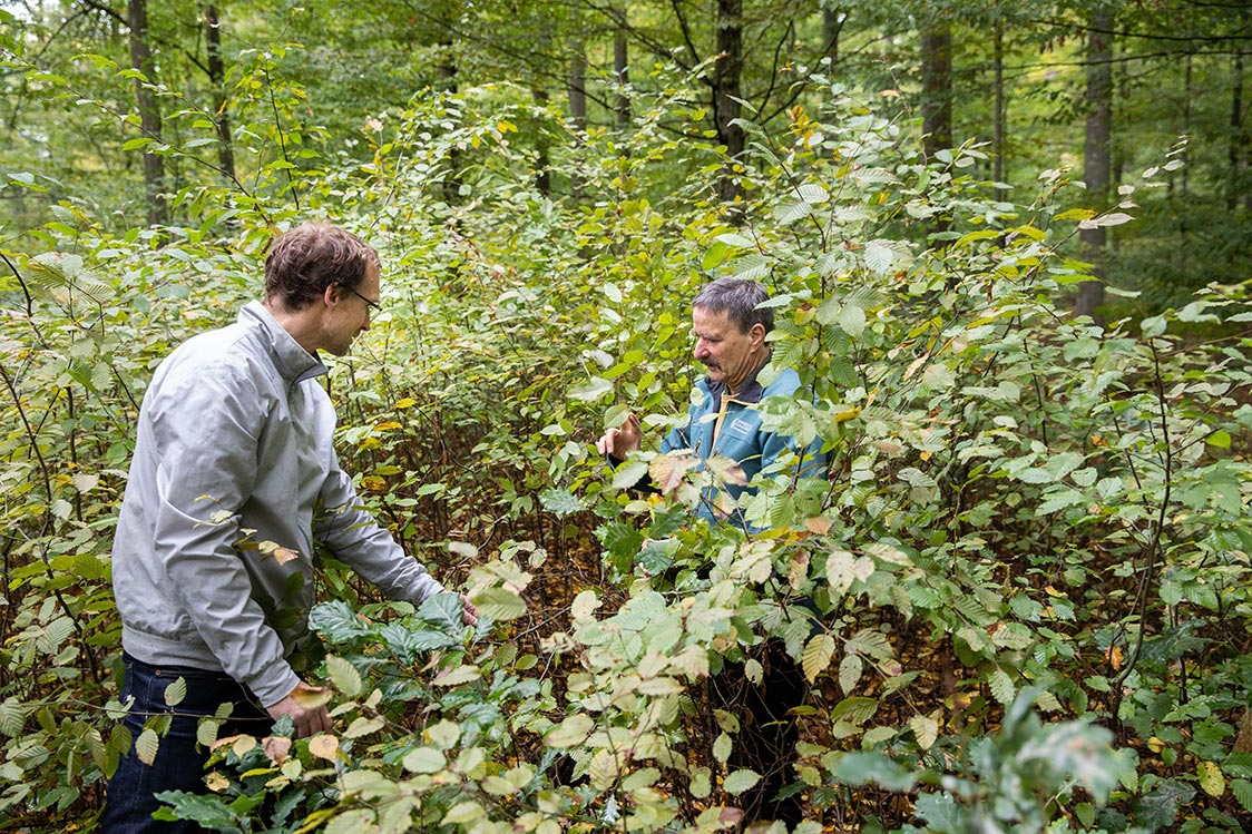 ökologische Forstwirtschaft Ulrich Mergner mit Desigern Jannis Ellenberger
