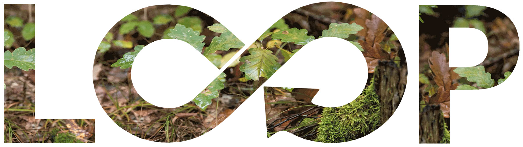 logo kreislaufwirtschaft - ellenberger circular design